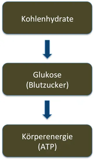 Frühstück ist die wichtigste Mahlzeit