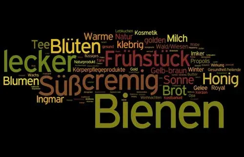 Diese Begriffe wurden am meisten genannt