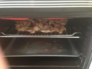 Hängen auf dem Grillrost sandwich