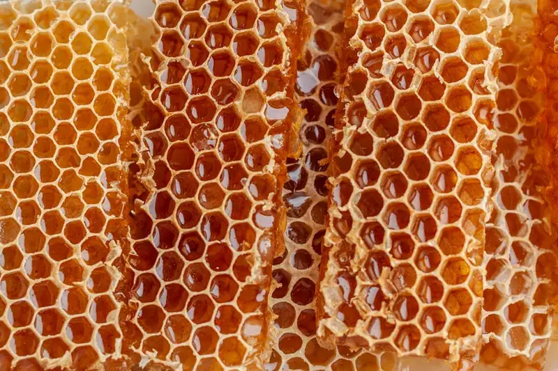 Nahaufnahme einer Bienenwabe
