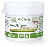 AniForte Propolis Pulver für Hunde & Katzen 20g - Natürliche Unterstützung Immunsystem & Vitale Haut durch Kraft der Natur. Hochwertiges Propolispulver unterstützt die Abwehrkraft