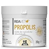 ReaVET Propolis Pulver für Hunde & Katzen 20g – in Lebensmittelqualität, Natürliche Unterstützung Immunsystem & Vitale Haut durch Kraft der Natur, Hochwertiges Propolispulver stärkt die Abwehrkraft