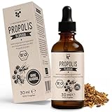 beegut BIO Propolis Tropfen flüssig ohne Alkohol, 50ml wasserlösliche Tinktur mit BIO Propolis Extrakt, standardisierte Qualität, nachhaltige Verpackung (30ml)