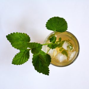 Macht sich in jeden Eistee gut: frische Minze